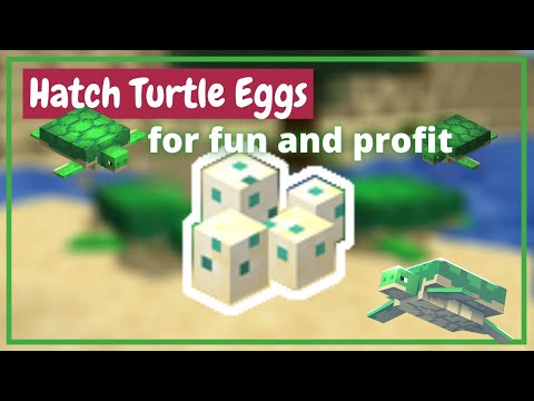 How to Hatch Turtle Eggs in Minecraft - Java, Bedrock, PE