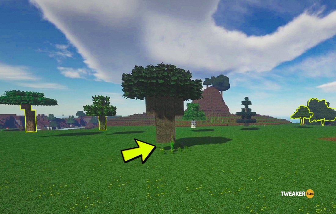 What Happens If You Leave Trees Floating In Minecraft