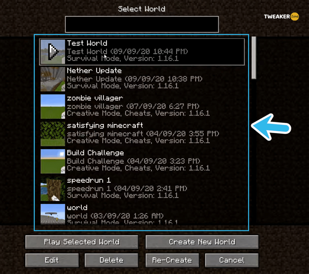 Minecraft Worlds select