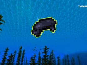 Black Dye In Minecraft